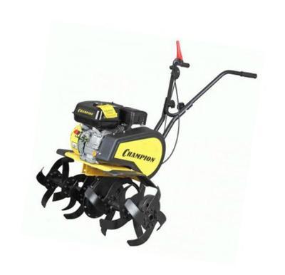 CHAMPION CHAMPION -  C 6612H